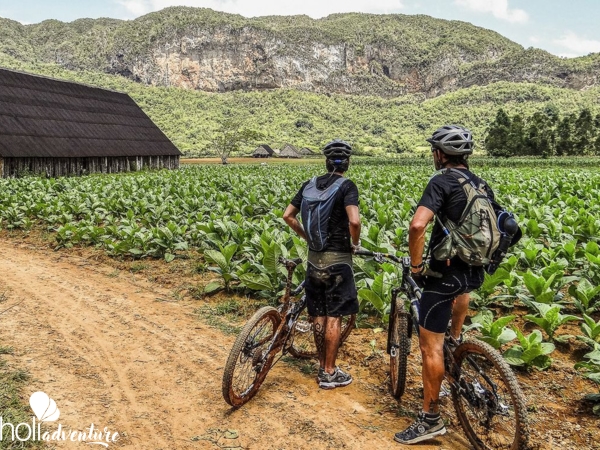 “A Beauty and Sweaty Mountain Bike” Tour - “A BEAUTY AND SWEATY MOUNTAIN BIKE” Tour