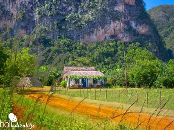 “Habana - Viñales 1” Tour (Private one day tour) - “Habana - Viñales 1” Tour (Private one day tour)