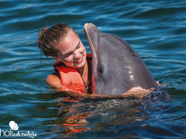 Swimming with dolphins at Bahía de Naranjo dolphinarium - "Marine adventure with lobster dinner" Tour