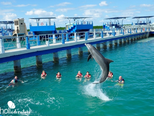  - “SWIMMING WITH DOLPHINS IN CAYO SANTA MARÍA“ Tour