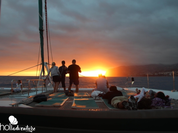  - "Ocean Paradise Sunset" Tour