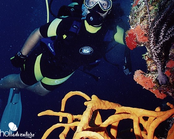 Scuba diving tour in Santiago de Cuba - "Scuba Diving Tour in Santiago de Cuba"