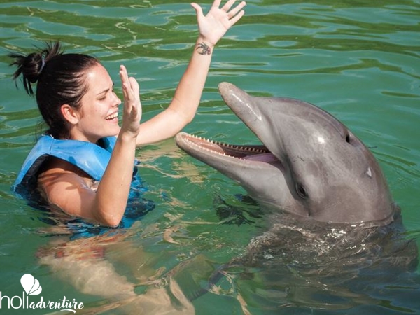 Dolphinarium, Cienfuegos city. - "Cienfuegos-Guanaroca Lagoon-Dolphinarium" Tour