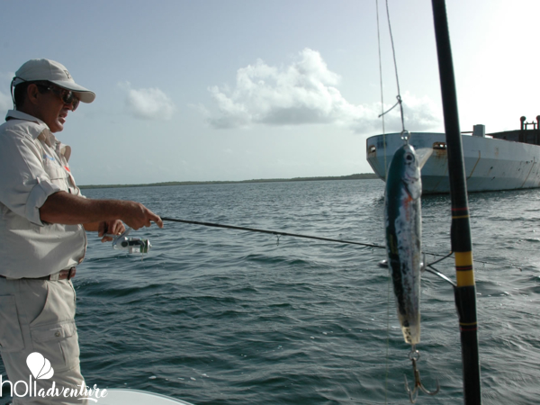 “Specialized Fishing Tour in Cayo Santa María“ - “SPECIALIZED FISHING IN CAYO SANTA MARÍA (SPINNING AND TROLLING)“ Tour