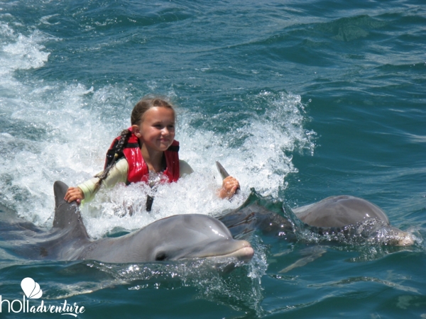 Swimming with dolphins at Bahía de Naranjo dolphinarium - “Seafari Crucero del Sol” Tour