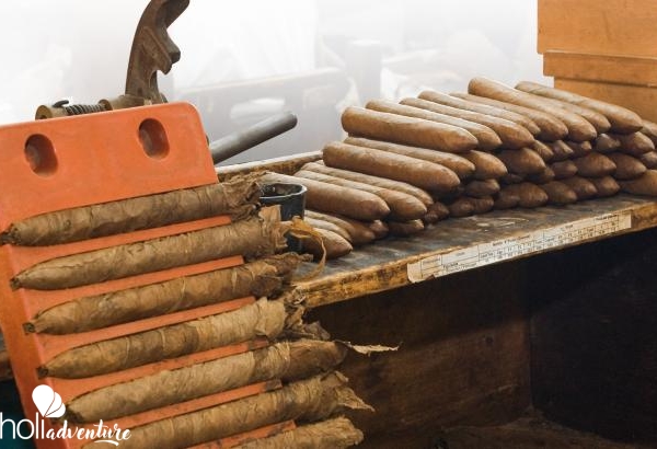 Twisted Tobacco, "Cuban Flavor" Tour - "CUBAN FLAVOR" Tour