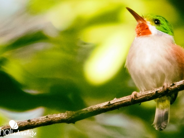  - Jeep Safari "NATURE TOUR BIRDWATCHING IN EL ENIGMA DE LAS ROCAS TRAIL"
