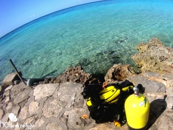  - "Diving in Playa Larga-Playa Girón"