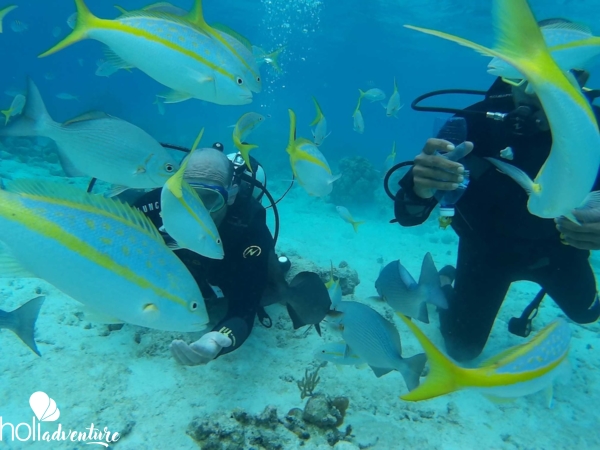 Scuba Diving in Havana - "ACUC and SSI  International Certification Dive Courses" Havana.