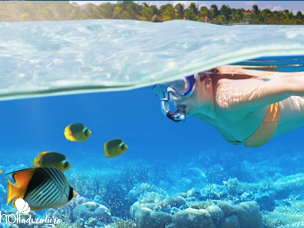 "Sea and Land Adventure" Tour - "Sea and Land Adventure" Tour