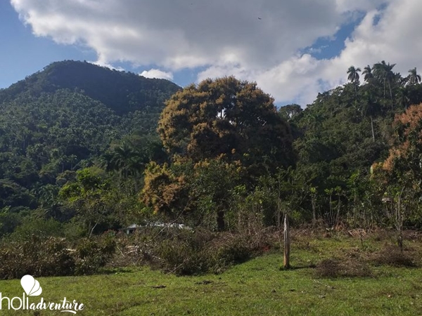 "El Brujito" Trail - "El Brujito" Trail