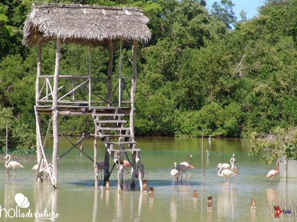Rocazul biopark, Holguín - A Country Day Tour