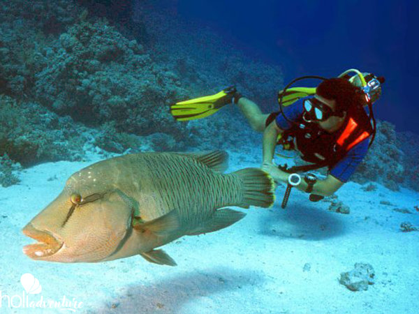 "ACUC International Certification Dive Courses" Cienfuegos - "ACUC International Certification Dive Courses" Cienfuegos.