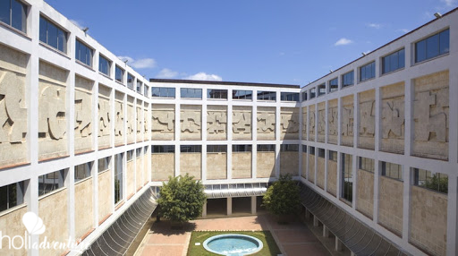 Museo de Bellas Artes, Cuban art building, Of Art and Color Tour - Excursión "DE ARTE Y COLOR"