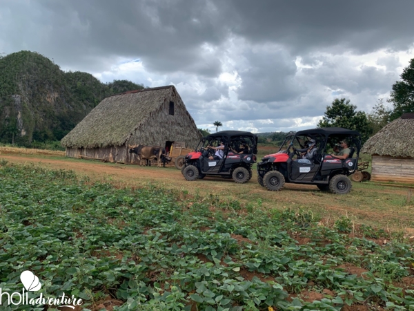 Buggy Tour, Viñales, Pinar del Rio, Cuba - “ADVENTURES ON WHEELS IN THE VIÑALES VALLEY” Tour