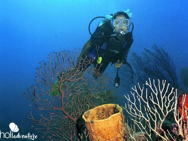 Scuba diving tour in Cayo Santa María - “SCUBA DIVING IN CAYO SANTA MARÍA“ Tour