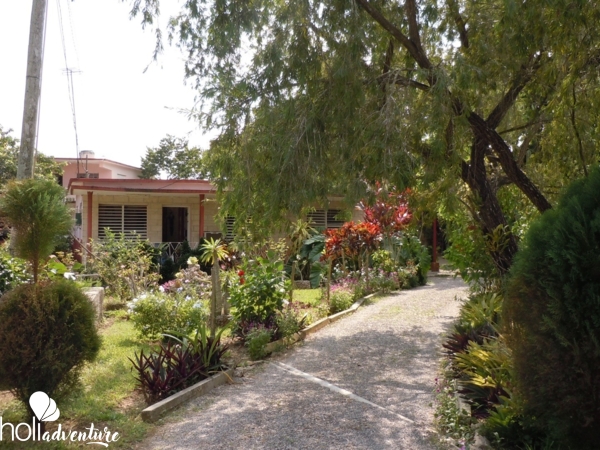 Patio-garden view - Casa Los Sauces