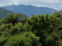 Pico Turquino National Park, Cuba.