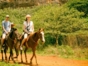 “Riding Viñales, Discovering the traditions and charms of the valley”