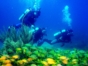Buceo en Matanzas