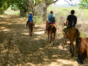 “Horseback Riding La Pastora – Sugar Mills Valley – Javira Waterfall” Tour