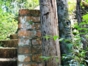 Visit to the "La Rosita" farm