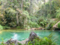 "Nature Tour Nicho-Trinidad in American Classic Car"