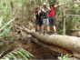Tour to “the Altiplano of Tope de Collante” (Guanayara Natural Park)