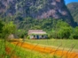 “Habana - Pinar del Río - Viñales” Tour