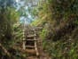 Turquino National Park  Granma