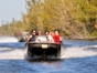 “Discovering Guamá and its diving areas in Classic Cars” Tour