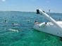 Snorkeling in coral reef, Blue Adventure, Holguin