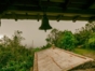 coffee farm cuba