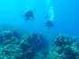 "ACUC International Certification Dive Courses" Cienfuegos