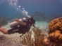 "ACUC International Certification Dive Courses" Cienfuegos