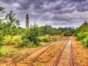 ride-to-valley-of-the-sugar-mills