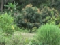 Peasant farm, "Nature and History" Soroa Trail