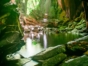 Caverns and streams of the Topes de Collantes National Park-Cuba