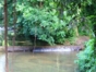 “Ruins of coffee plantations” Trail