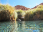 Puritamas hot springs, Antofagasta region, Chile.