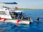 Dive activities
