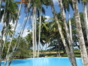Panoramic pool & gardens view