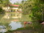 Panoramic villa & lake view
