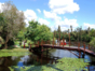 Crococriles farm bridge