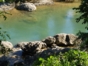 River view