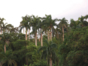 Sierra Maestra view