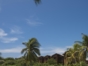 panoramic view