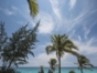beach view