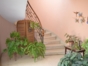 House details
