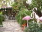 Patio details